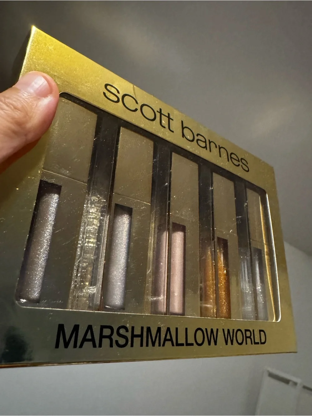 Lip Bundle of Scott Barnes & Makeup Forever & Misc.